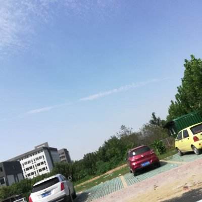 忘红尘最新版下载